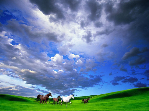 346893 (a): :1024x768